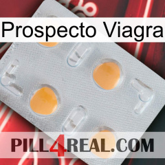 Prospecto Viagra 24